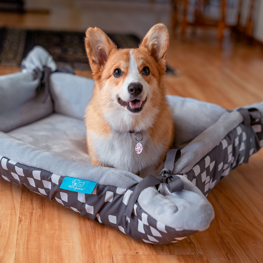 Cupcake bed for dogs hotsell